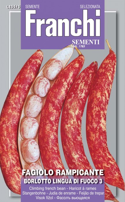 SCATOLA SEMI DI FAGIOLO RAMPICANTE BORLOTTO LINGUA DI FUOCO N.3