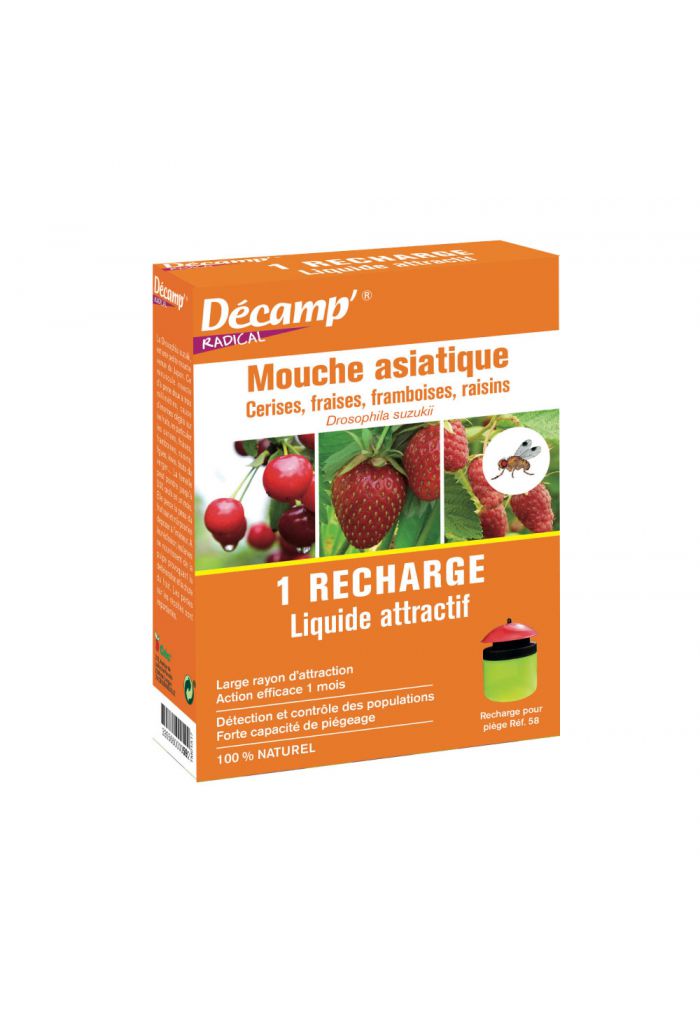 RiCARICA ATTRATTIVO LIQUIDO PER TRAPPOLA PER MOSCHE ASIATICHE
