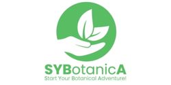 Logo Brand