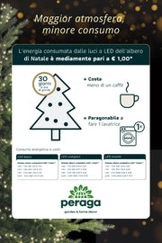 LUCI DI NATALE PER PRESEPE CATENA CON 10 LED BIANCO FREDDO