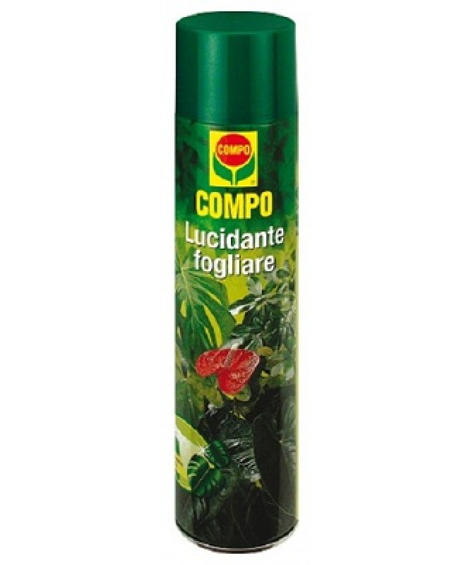 BALSAMO LUCIDANTE FOGLIARE 600ML