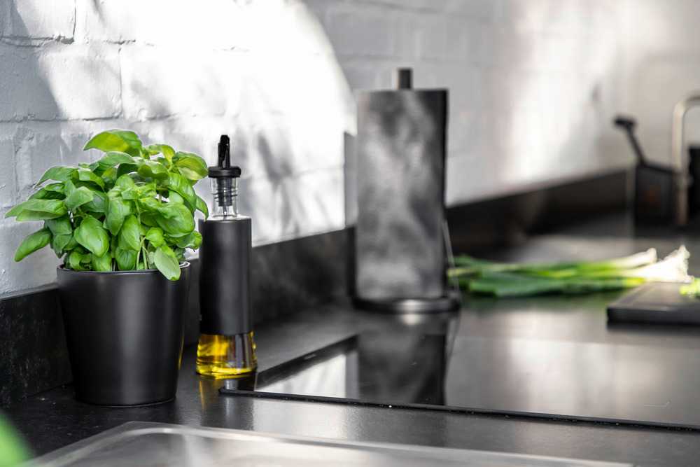 DISPENSER PER OLIO E ACETO 0,3L BOGA CON CHIUSURA