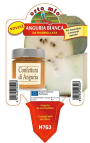 3 PIANTE IN VASO Ø 10CM DI ANGURIA BIANCA DA MARMELLATA