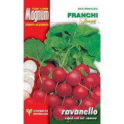 SEMI RAVANELLO RAPID RED SANOVA