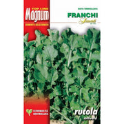 SEMI RUCOLA COLTIVATA FOGLIA LARGA BUSTA MAGNUM