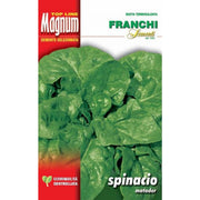 SEMI SPINACIO MATADOR BUSTA MAGNUM