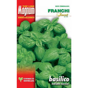SEMI BASILICO ITALIANO CLASSICO BUSTA MAGNUM