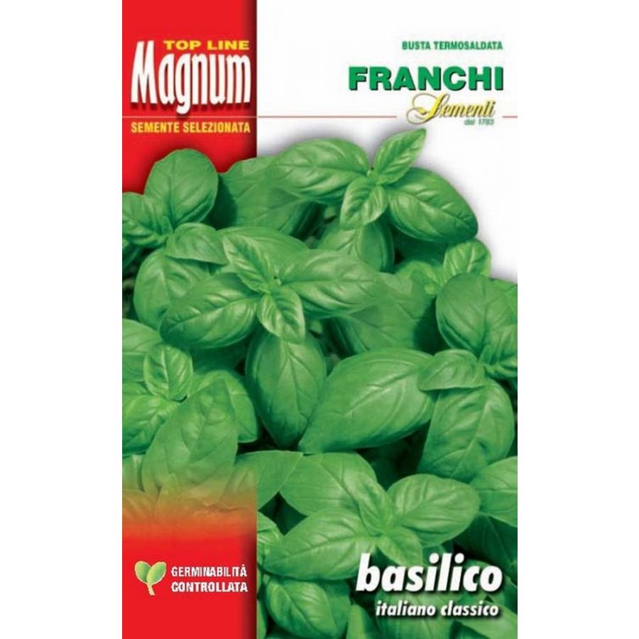 SEMI BASILICO ITALIANO CLASSICO BUSTA MAGNUM