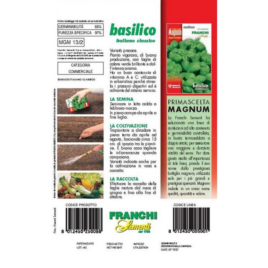 SEMI BASILICO ITALIANO CLASSICO BUSTA MAGNUM