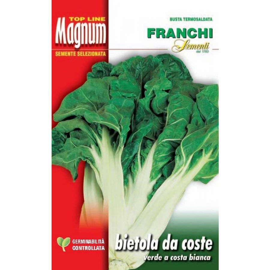SEMI BIETOLA DA COSTA VERDE A COSTA BIANCA BUSTA MAGNUM