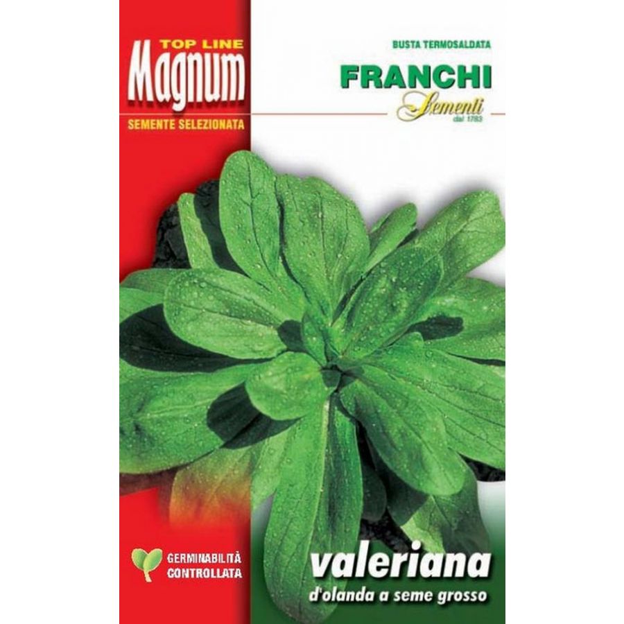 SEMI VALERIANA D'OLANDA SEME GROSSO BUSTA MAGNUM