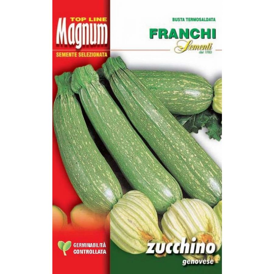 SEMI ZUCCHINO GENOVESE BUSTA MAGNUM