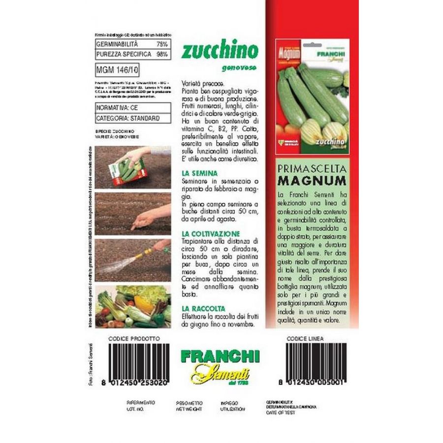 SEMI ZUCCHINO GENOVESE BUSTA MAGNUM
