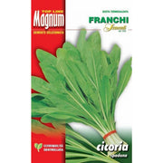 SEMI CICORIA SPADONA BUSTA MAGNUM