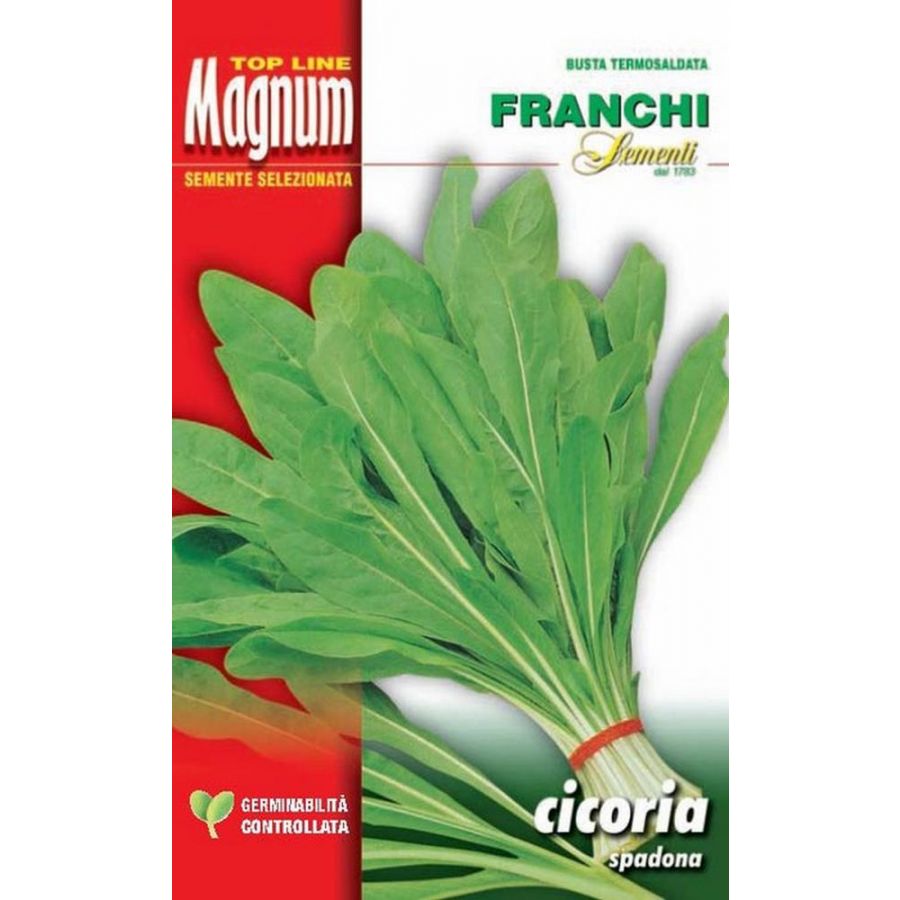 SEMI CICORIA SPADONA BUSTA MAGNUM