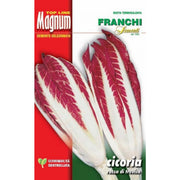 SEMI CICORIA ROSSA DI TREVISO BUSTA MAGNUM