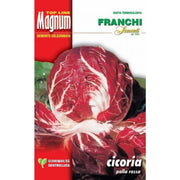 SEMI CICORIA PALLA ROSSA PRECOCE BUSTA MAGNUM
