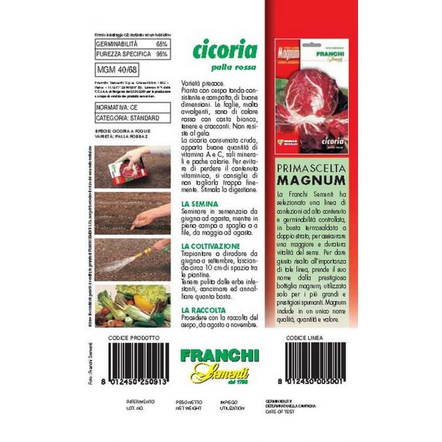SEMI CICORIA PALLA ROSSA PRECOCE BUSTA MAGNUM