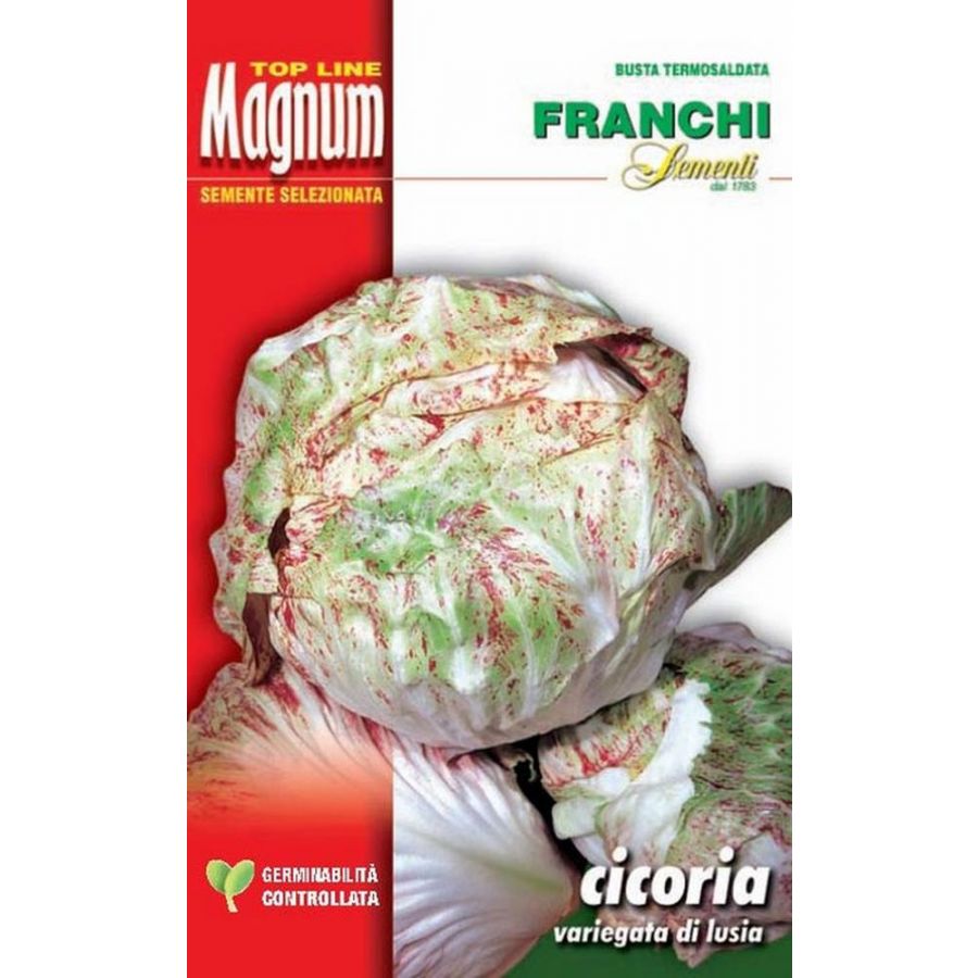 SEMI CICORIA VARIEGATA LUSIA BUSTA MAGNUM