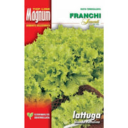 SEMI LATTUGA BIONDA RICCIOLINA BUSTA MAGNUM