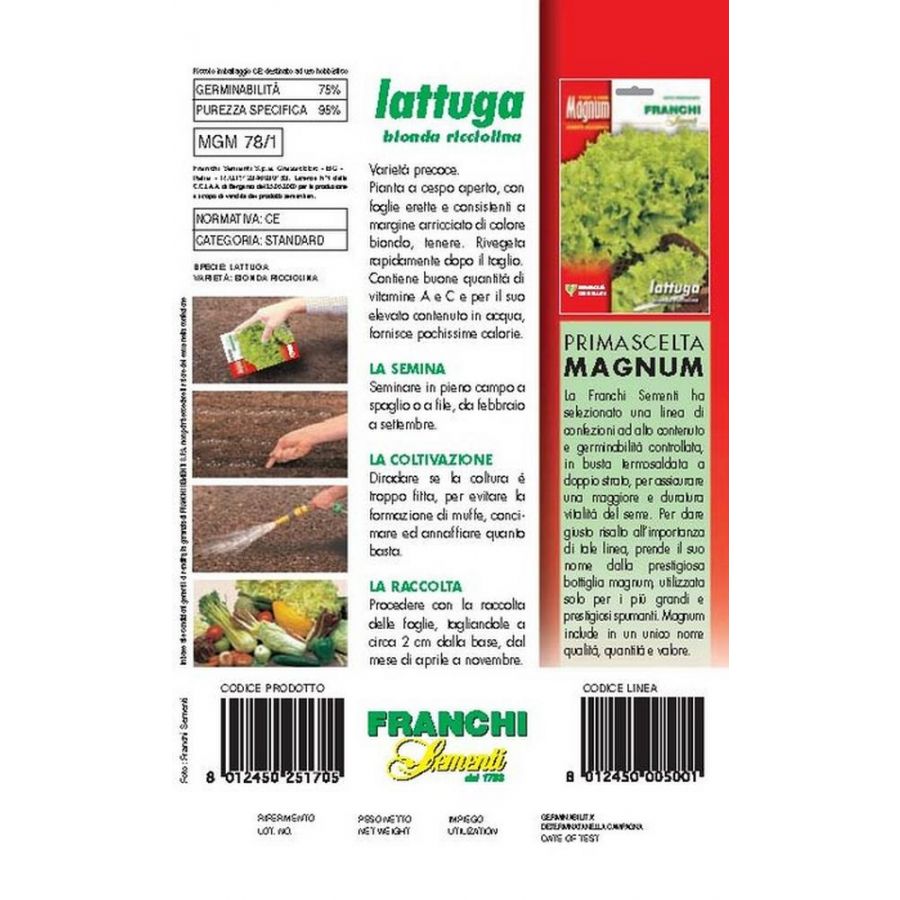 SEMI LATTUGA BIONDA RICCIOLINA BUSTA MAGNUM