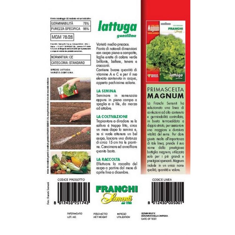 SEMI LATTUGA GENTILINA BUSTA MAGNUM