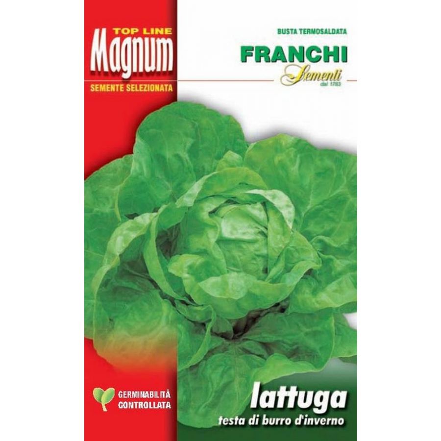 SEMI LATTUGA TESTA DI BURRO D'INVERNO BUSTA MAGNUM