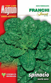 BUSTA MAGNUM SEMI DI SPINACIO MERLO NERO