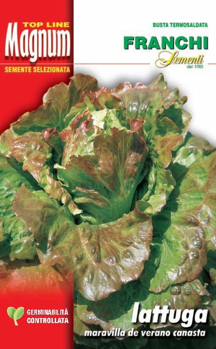 BUSTA MAGNUM SEMI DI LATTUGA CANASTA