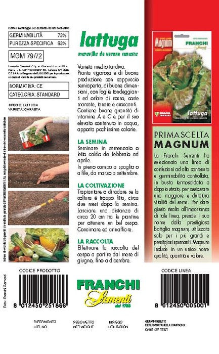 BUSTA MAGNUM SEMI DI LATTUGA CANASTA