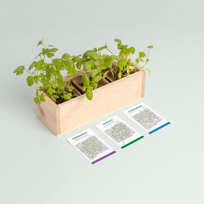 MINI ORTO - ERBE AROMATICHE