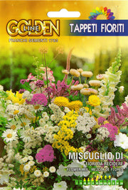 BUSTINA MISCUGLIO DI FIORI DA RECIDERE