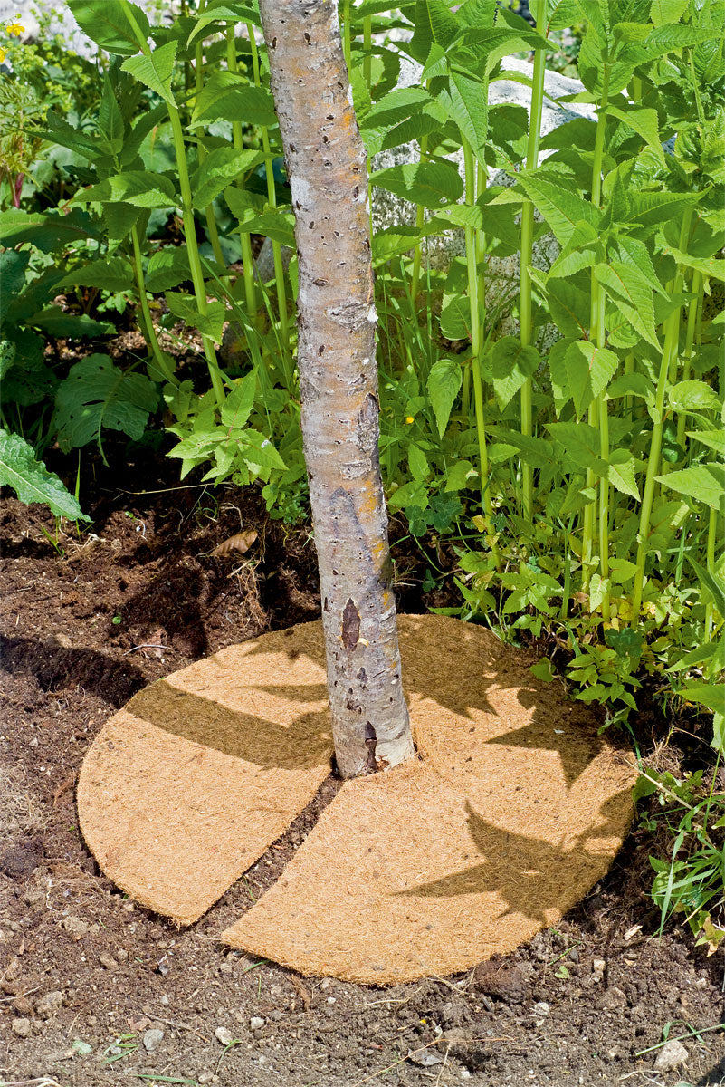 3 DISCHI PACCIAMATURA IN COCCO 45CM