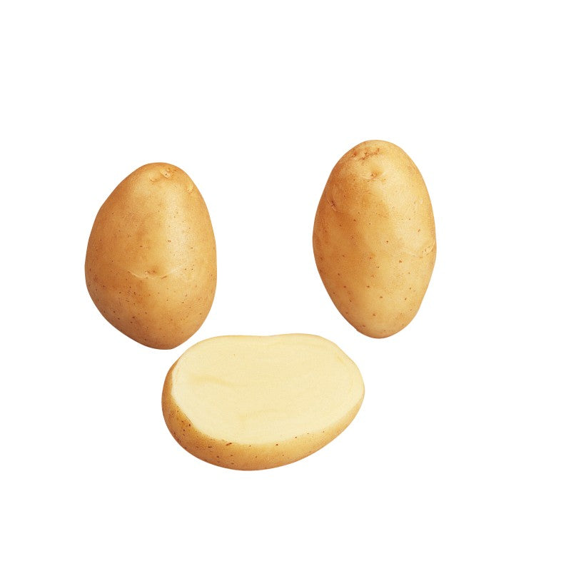 PATATA MONALISA 28/35 3 KG DA SEMINARE