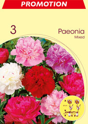 PEONIA MIX (CONFEZIONE DA 3 BULBI)
