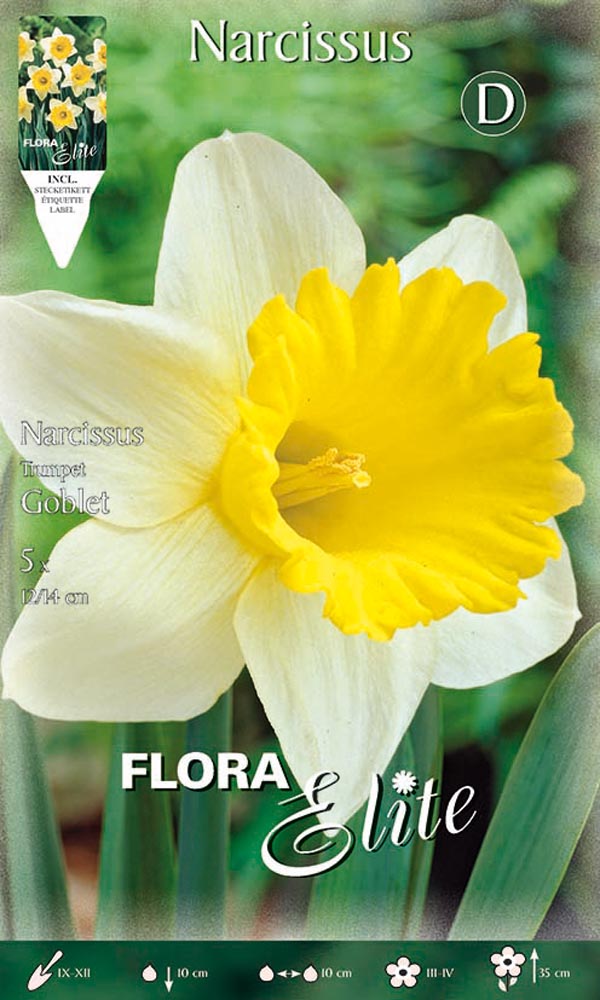 NARCISO TRUMPET GOBLET (CONFEZIONE DA 5 BULBi)