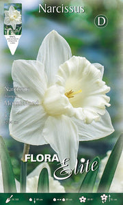 NARCISO TRUMPET MOUNT HOOD (CONFEZIONE DA 5 BULBi)