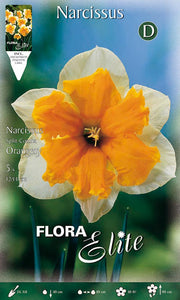 NARCISO SPLIT CORONA ORANGERY (CONFEZIONE DA 5 BULBI)