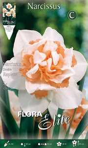 NARCISO REPLETE (CONFEZIONE DA 5 BULBI)