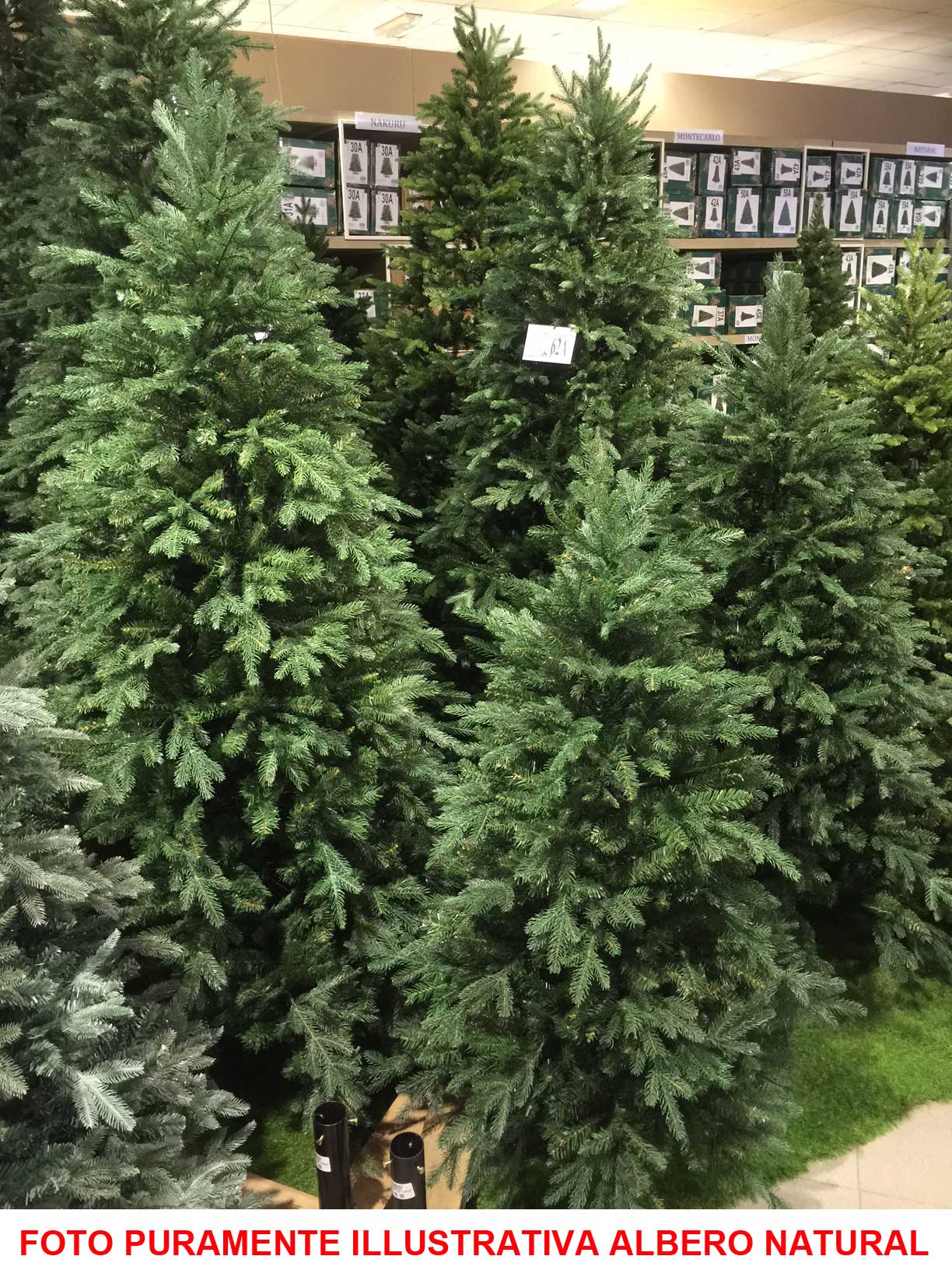 ALBERO DI NATALE 150CM NATURAL VERDE