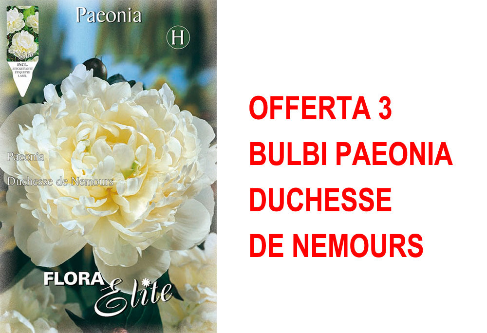 OFFERTA 3 BULBI PAEONIA DUCHESSE DE NEMOURS