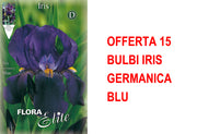 OFFERTA 15 BULBI IRIS GERMANICA BLU