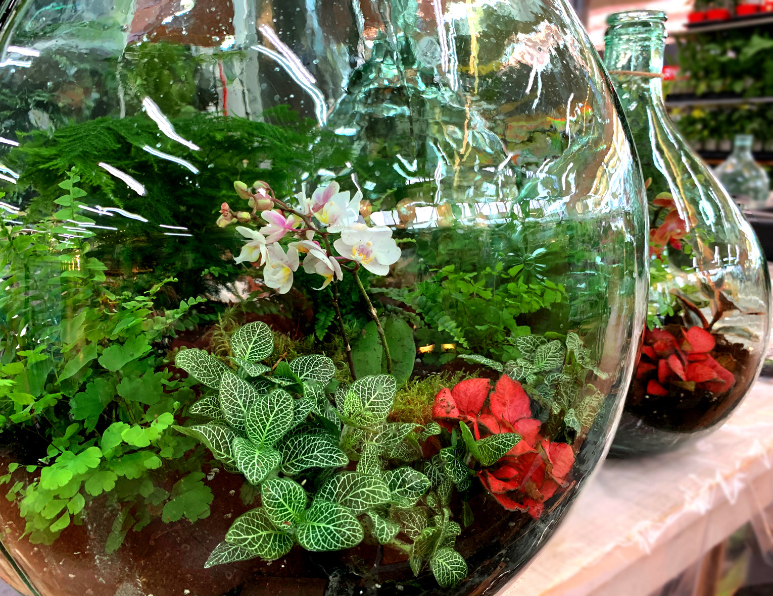 TAPPO IN SUGHERO CON LED PER ECOSISTEMA TERRARIUM