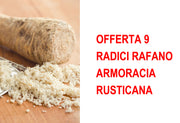 OFFERTA 9 RADICI RAFANO ARMORACIA RUSTICANA
