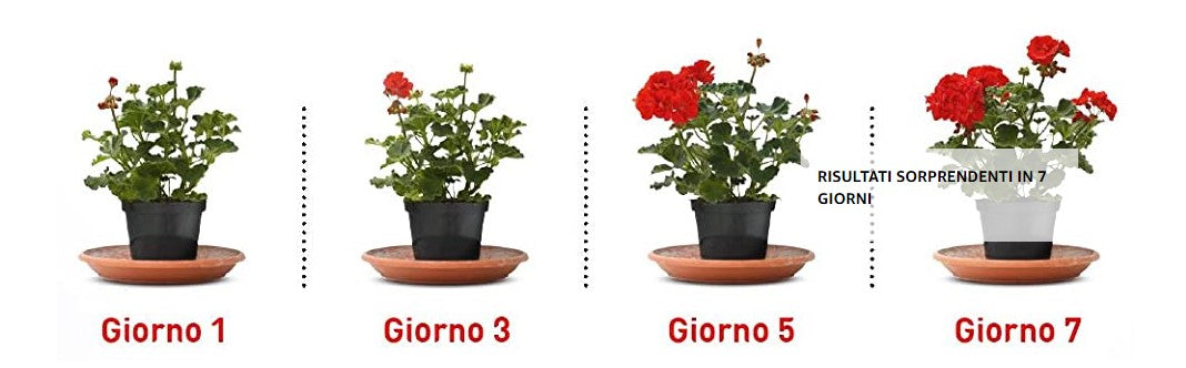 NUTRI ONE ESSENCE CONCIME PER TUTTI I TIPI DI PIANTE 750GR