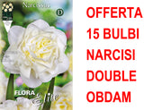 OFFERTA 15 BULBI NARCISO DOUBLE OBDAM
