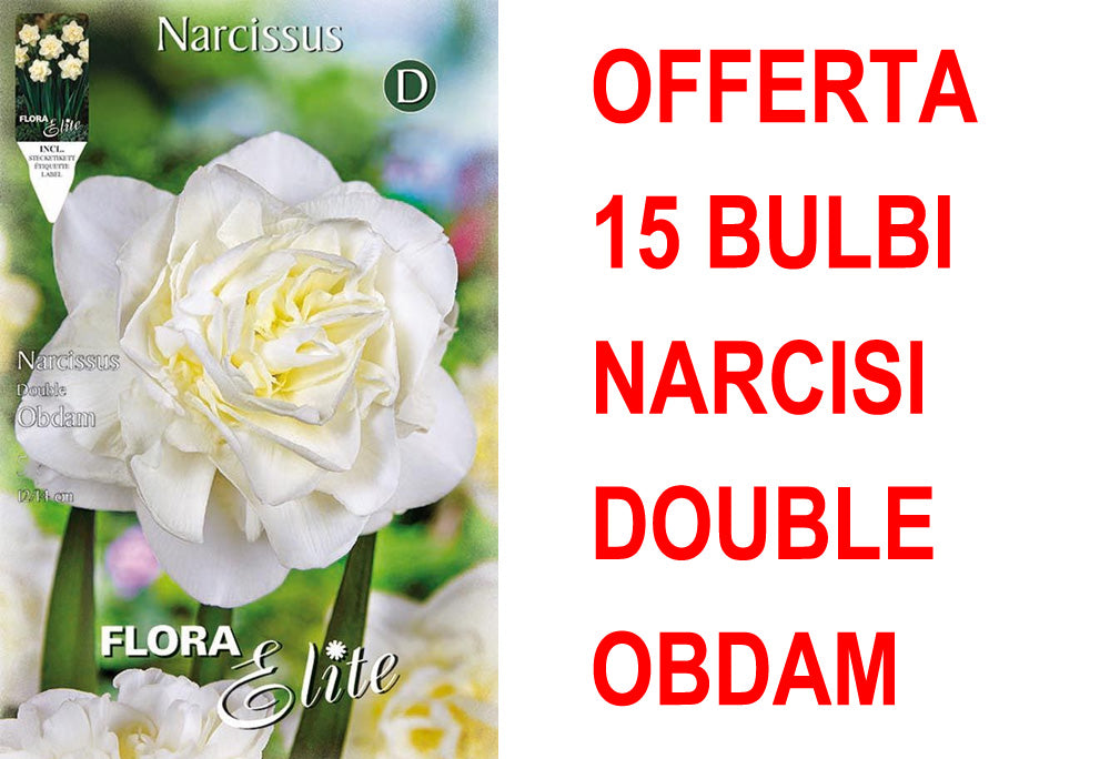 OFFERTA 15 BULBI NARCISO DOUBLE OBDAM