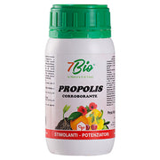 CORROBORANTE LIQUIDO PROPOLIS 250 GR