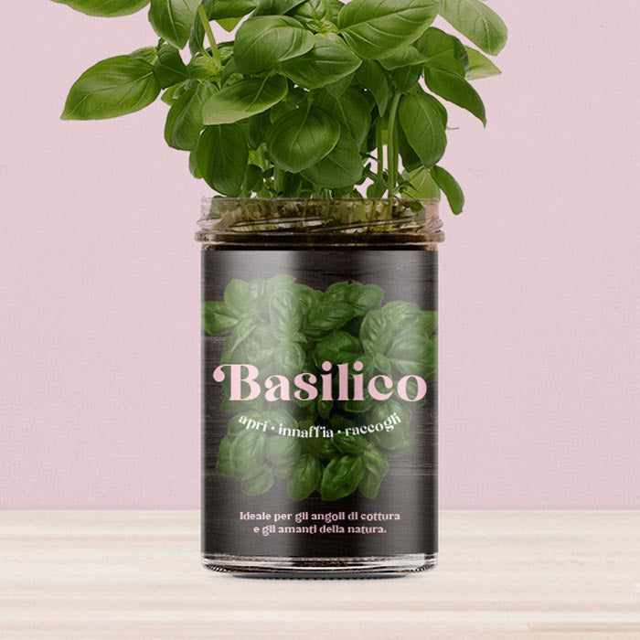 ORTO CUCINA - BASILICO