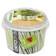 KIT ORTOLINO MELISSA